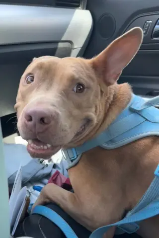 Joseph - cuddles and chaos