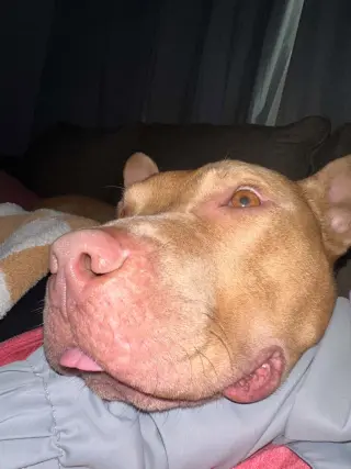 Joseph - cuddles and chaos