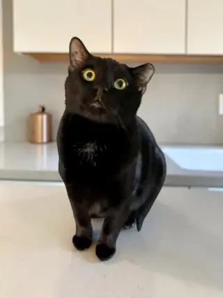 Murphy