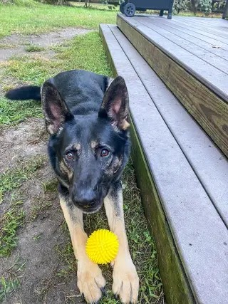 Vader
