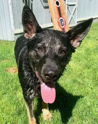 Vader