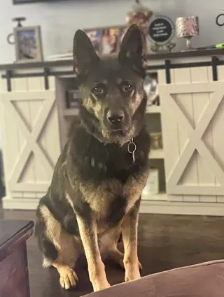 Vader