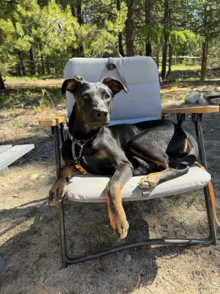 Matilda