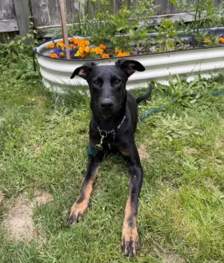Matilda