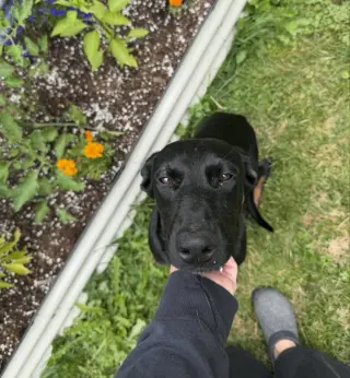 Matilda