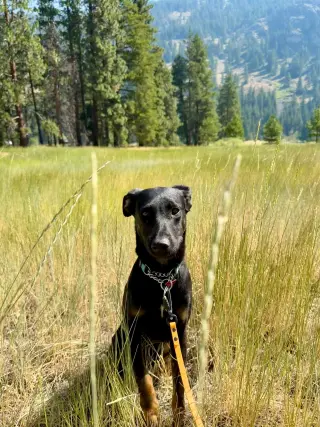 Matilda