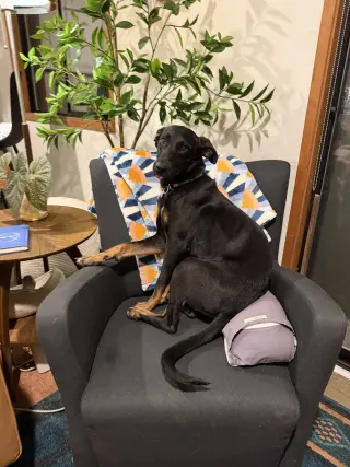 Matilda