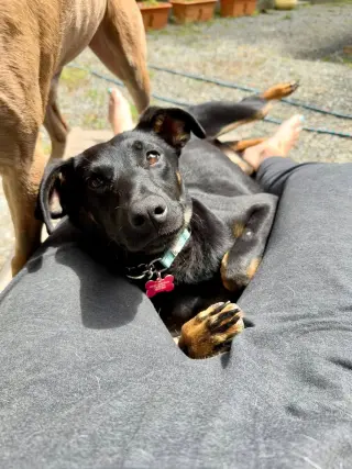 Matilda