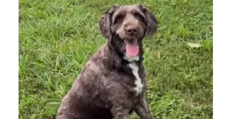 Finley DD