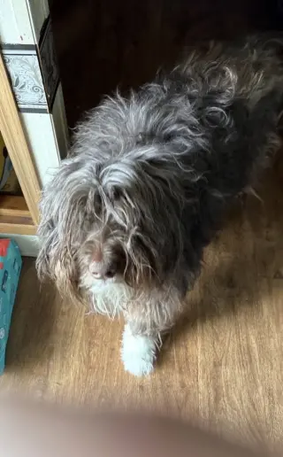 Finley DD