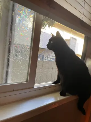 Smoov (Courtesy Post)