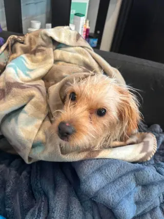 Rusty