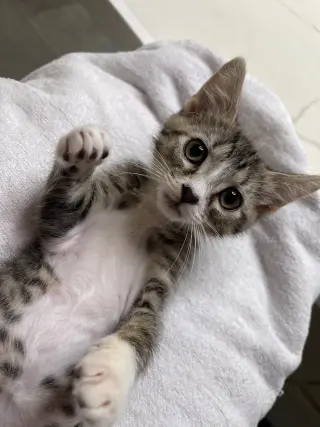 Sleepy