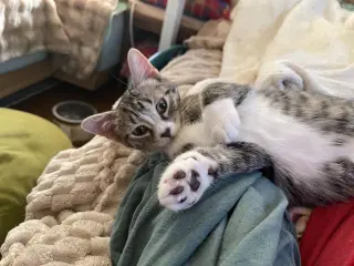 Sleepy