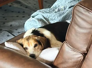 Chester