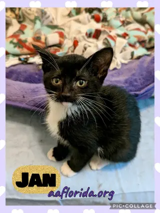 Jan