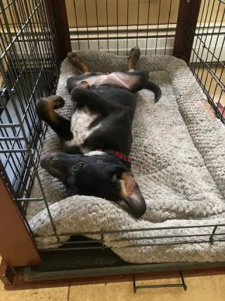 Coco