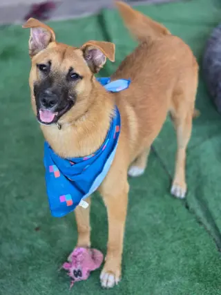 Milo