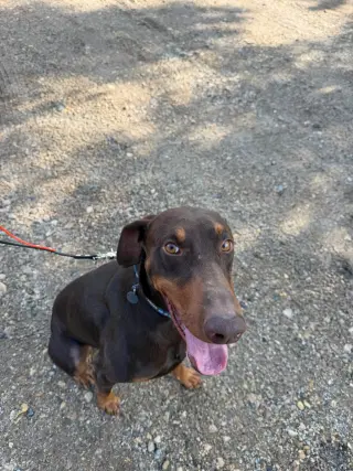 Atlas aka Doby