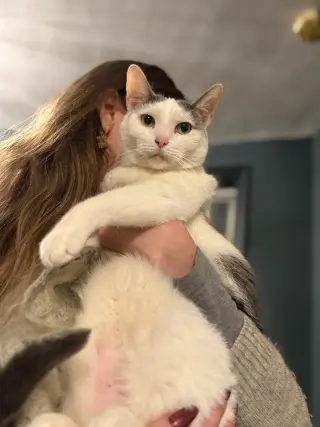 Valentine
