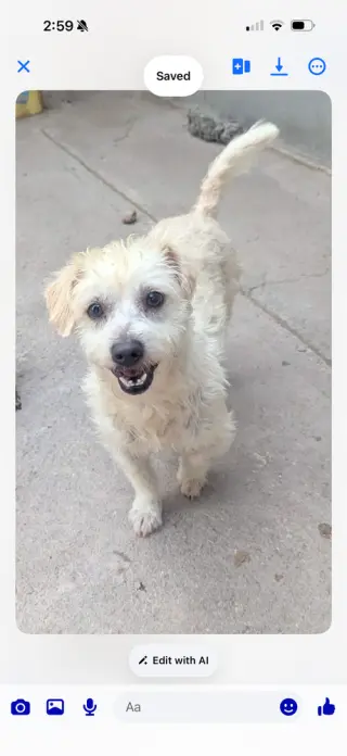 Bowie