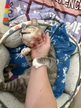 Violet & Voytek