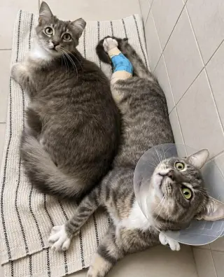 Violet & Voytek