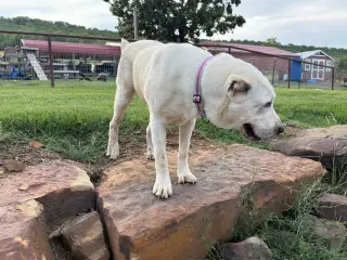 THELMA- OKLAHOMA
