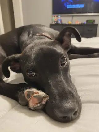 TRUFFLES