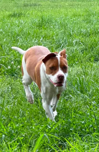 Mayleigh