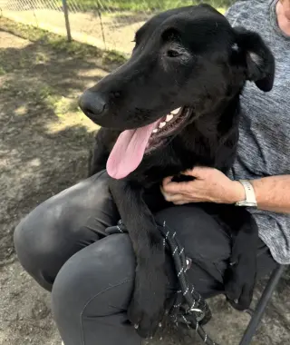 Elsie
