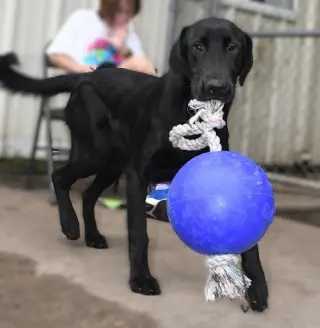 Elsie