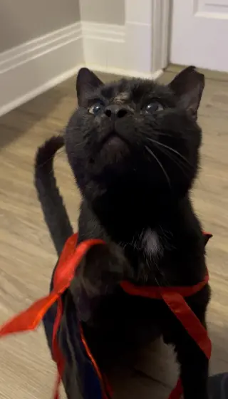 Firefighter