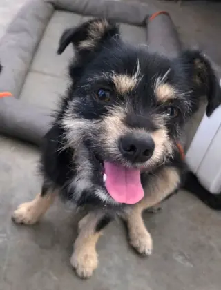 Winnie & Penny