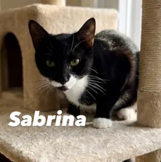 Sabrina