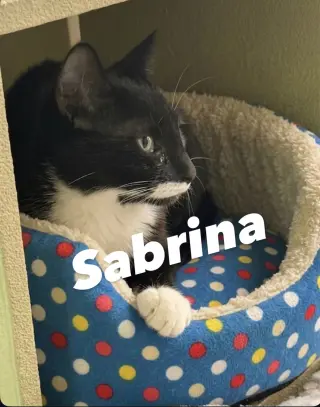 Sabrina