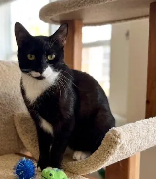 Sabrina