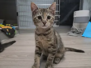 Zoe