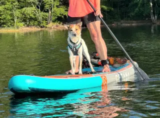 Max