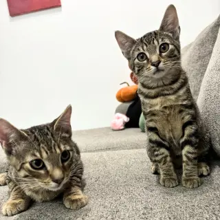 Lucy & Lee