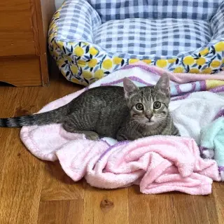Lucy & Lee
