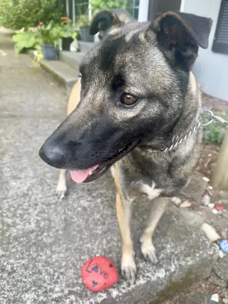 Ella