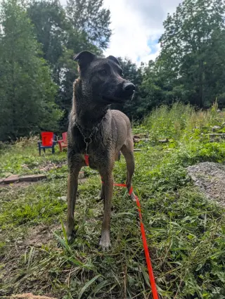 Ella