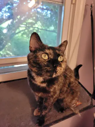 MURIEL