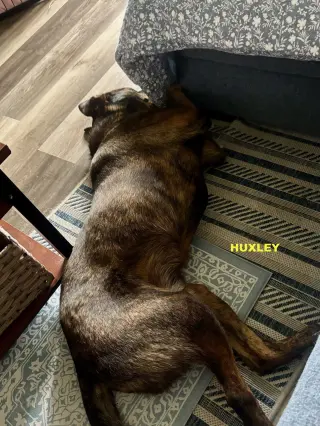 HUXLEY