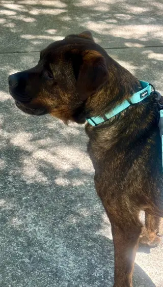 HUXLEY