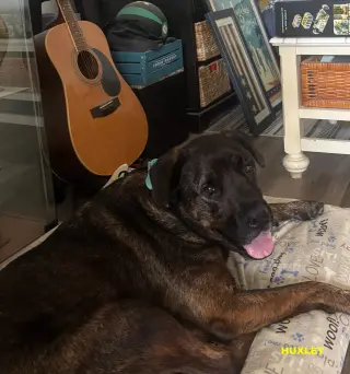 HUXLEY