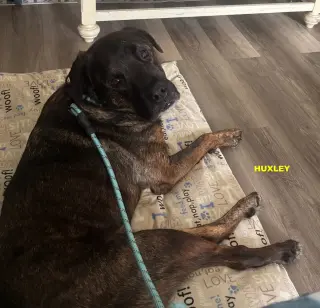 HUXLEY