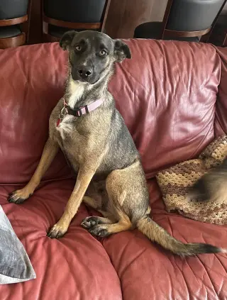 Rita/Maggie May