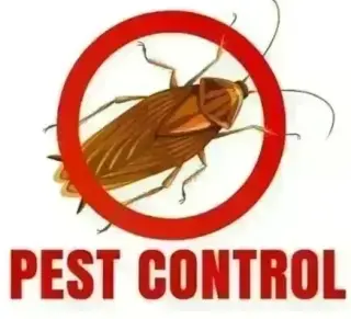 PIÑAS PEST CONTROL🦟🐀🐛